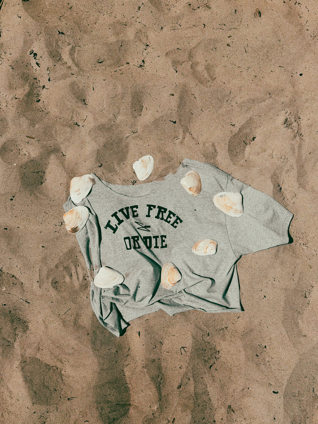 LIVE FREE OR DIE TEE