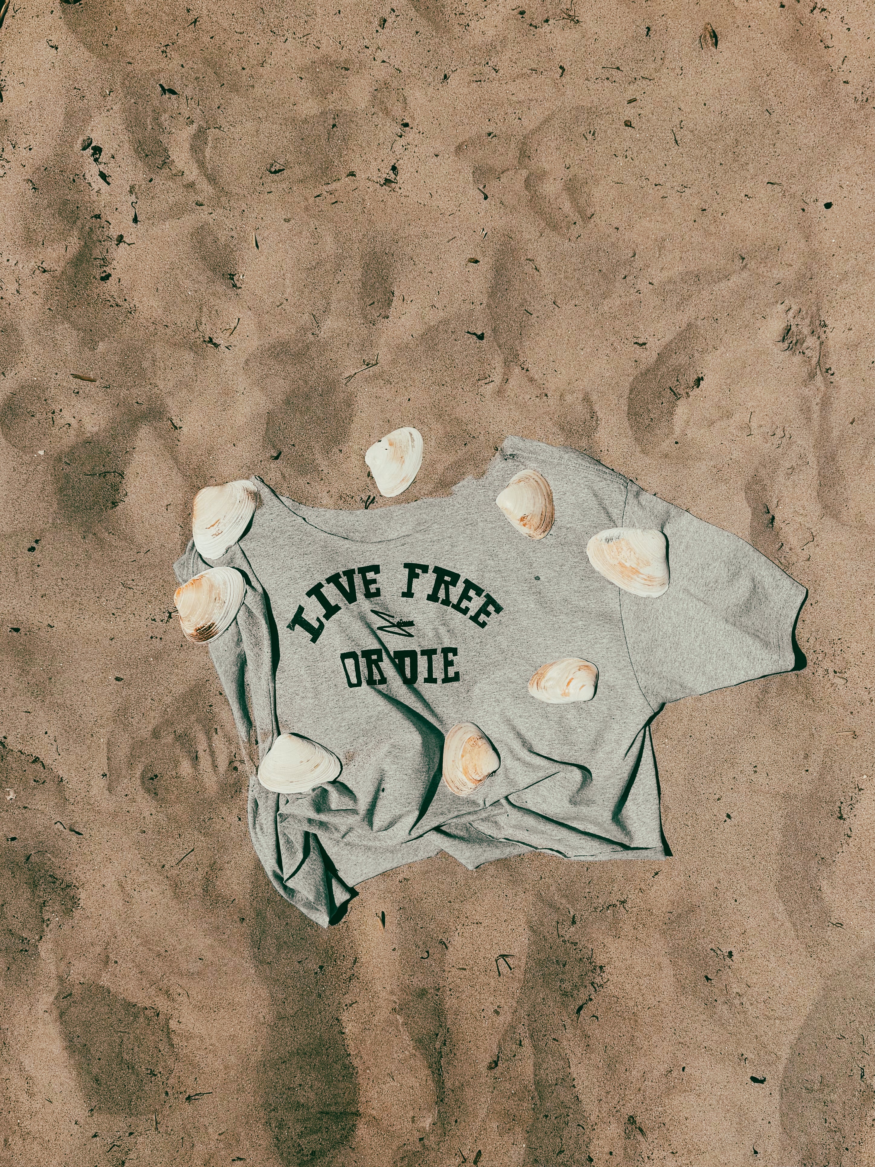 LIVE FREE OR DIE TEE